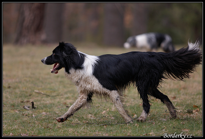 Pruhonice_057