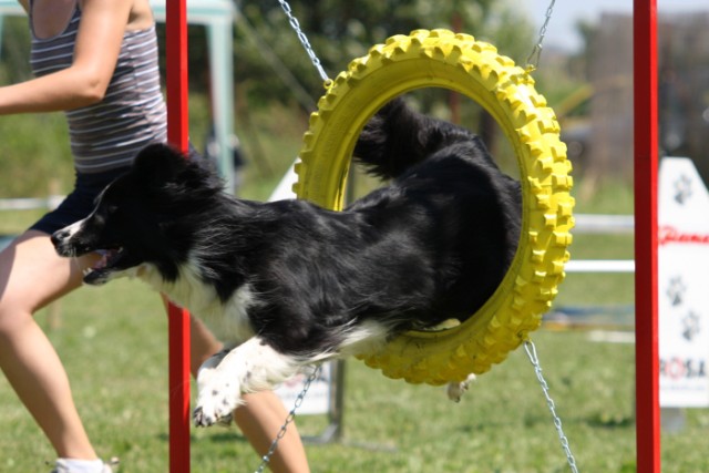 agility-zavody--zlin-priluky-12_7_08-1215895817